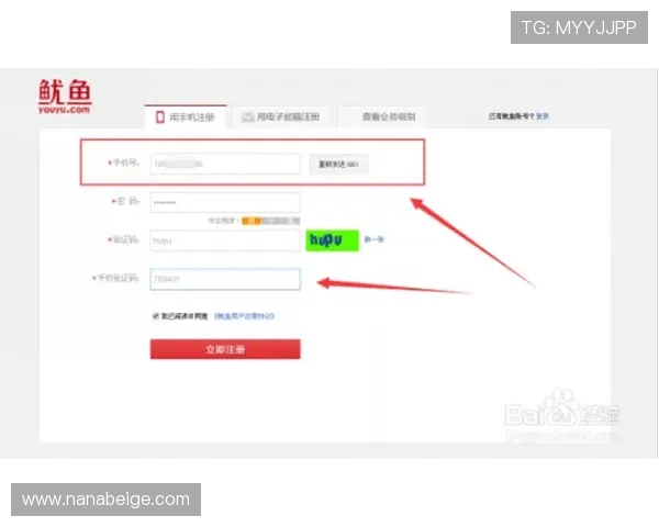 博鱼真人平台会员无法登录的常见原因及应对策略详解